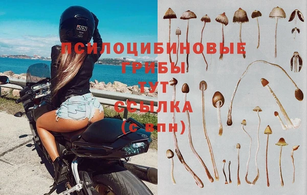 спайс Абаза