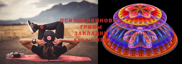 дурь Абинск